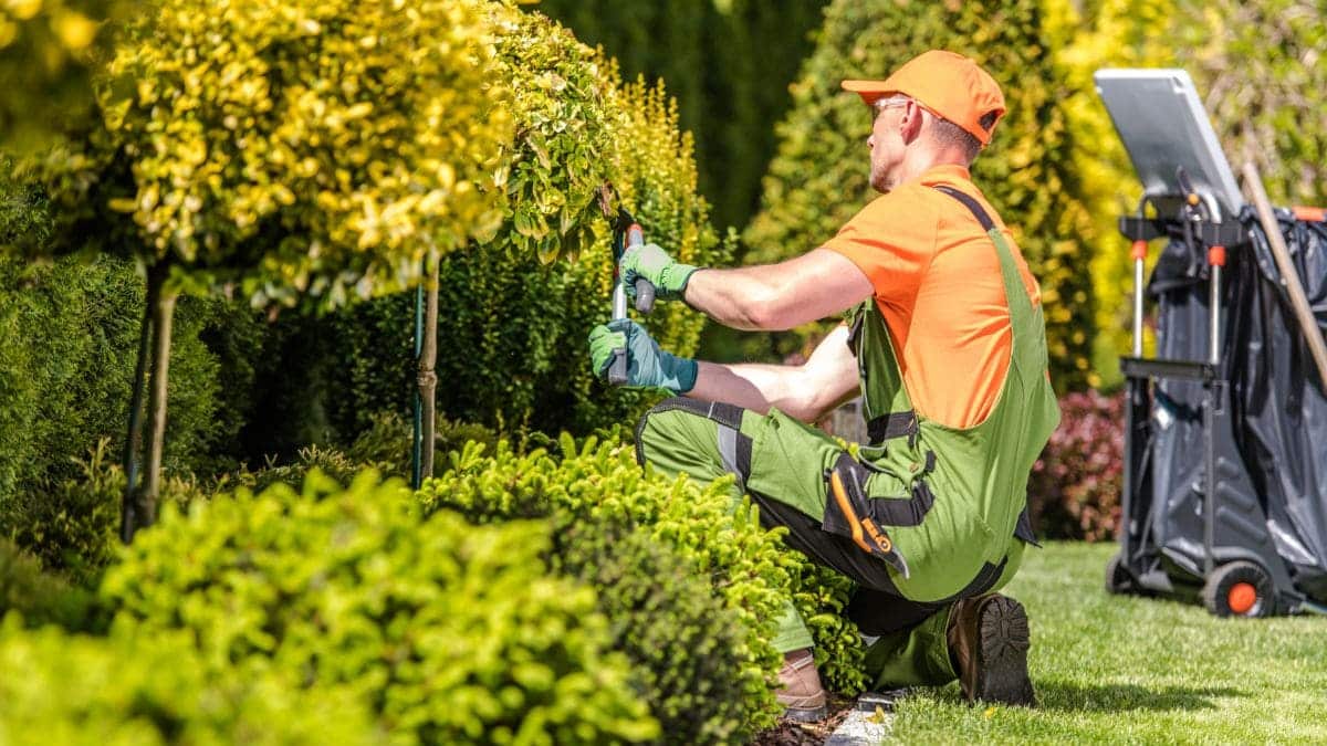 Empleo como jardinero