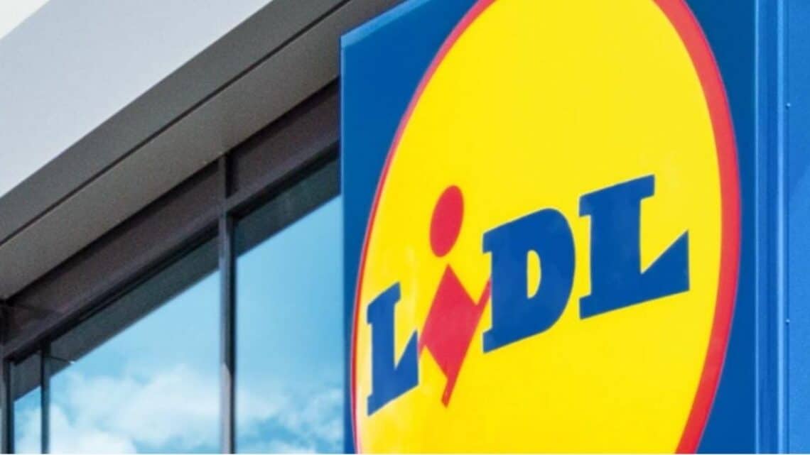 Lidl ofrece 119 ofertas laborales.